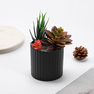 Mini Macetas de PVC con 3 <span class=keywords><strong>Suculentas</strong></span> Artificiales y Árboles, Color Negro, Decoración de Jardín Interior, Vegetación para el Año Nuevo Chino y Cumpleaños - Product Image 6