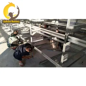 Jinmuren automatic chicken cage equipment for poultry farming project