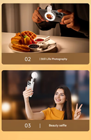 Lumière de Selfie d'anneau rechargeable portative 3 couleurs Mini lumière de remplissage de photo universelle pour la vidéo de la photographie de Smartphone