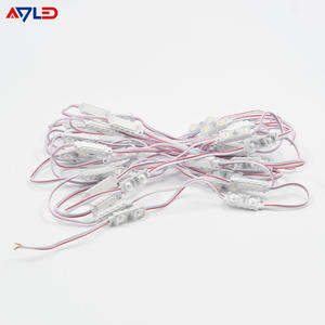 Módulos LED Mini de Alto Brillo con 2 LED, DC12V, IP68 Impermeable, CE ROHS, CRI80, SMD2835, Módulo de Inyección, 5 Años de Garantía, para Exteriores - Product Image 4
