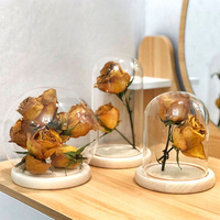 Cloche en verre clair dôme en verre dôme de forme ronde avec guirlande lumineuse pour la décoration de la maison d'affichage