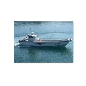 Grandsea 14m fiberglas malzeme Panga tip dalış tüplü ve hızlı feribot tekne
