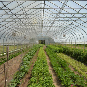 Kits comerciales de invernadero de fresa de tamaño pequeño de un solo tramo, túnel de película plástica de siembra de vegetales, venta de invernaderos agrícolas - Product Image 2