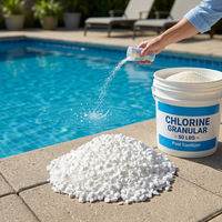 E20260806 Fournisseur en gros de granulés de qualité piscine, spécification 5-8 Mesh