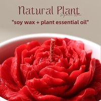 Öko-Aromatherapie Klassische Duftkerze aus Sojawachs in Keramikgefäß Zylindrische Form Handgefertigte Dekorative Kerze Geschenkbox