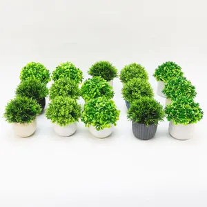 Foryoudecor 4 peças prateleira decorativa para livros de escritório e jardim em vasos de cerâmica artificial branca plantas suculentas cores sortidas