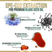Fabricant OEM/ODM, Marque Privée, Gélules d'Huile de Nigelle Végétalienne 1000mg, Complément Alimentaire pour Soutenir la Santé Immunitaire, Cutanée et Digestive