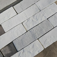 Revêtement mural extérieur en ciment imitation brique Elcorona PL06 pour la vente en gros