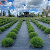 Toile de paillage agricole en polypropylène tissé non tissé pour jardin, tissu de couverture du sol, barrière anti-mauvaises herbes en plastique
