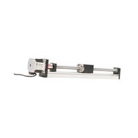RXSN40 QRXQ Module synchrone de rail à vis de longueur personnalisable de haute précision avec roulement de noyau de servomoteur pas à pas à faible bruit