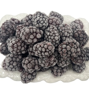 Framboises et mûres <span class=keywords><strong>bio</strong></span> fraîches <span class=keywords><strong>surgelées</strong></span> IQF, fruits <span class=keywords><strong>sauvages</strong></span> entiers non sucrés, <span class=keywords><strong>myrtilles</strong></span> en vrac, vente en gros - Product Image 1