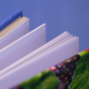 แคตตาล็อกและโบรชัวร์ปกแข็งขายดีอันดับต้นๆ พร้อมเคลือบฟิล์ม ปั๊มนูน/ปั๊มจม พิมพ์แบบกำหนดเอง - Product Image 4