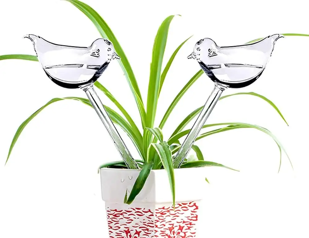 Paketi 2 bitki Waterer kendini sulama besleyici sistemi kuş şekli el üflemeli Mini dayanıklı temizle cam su küreler ucuz fiyat iyi Qu