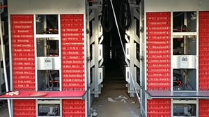 Nouvelle Cage <span class=keywords><strong>à</strong></span> Poules de Type H pour Pondeuses, Capacité 5000 Poulets, en Acier Galvanisé, Utilisation Agricole Automatique - Vente Chaude - Product Image 6