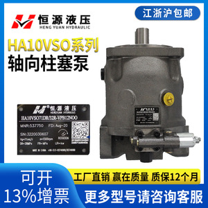 ปั๊มไฮดรอลิกแบบลูกสูบแกน ชนิดแผ่นสวอชแบบเปิด ของเฮงหยวน แรงดันสูง รุ่น HA10VSO18/28/45/71/100D - Product Image 5