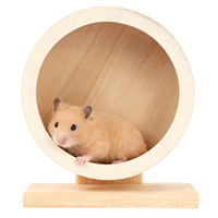Roue silencieuse en bois pour hamster, accessoires de roue d'exercice pour petits animaux, roue de course silencieuse pour hamster, prévient la dépression