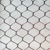 Filet de protection en câble métallique tressé en acier inoxydable robuste SS304/316 pour volière, zoo, clôture de sécurité, maille flexible
