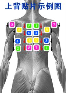 Appareil de fitness compact Cool Line Trainer sans taxes pour la maison et le studio - Product Image 4