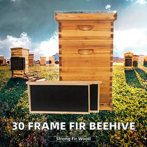 Nueva Colmena Langstroth de 3 Capas con Revestimiento de Cera, 10 Cuadros, Equipo de Apicultura, Caja de Colmena de Abeto Chino para Abejas - Product Image 2