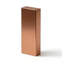 Barre de cuivre pur de 1 kg, taille standard, pour collection et stockage