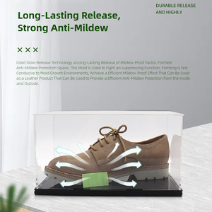 Оптовая продажа, антиплесень, чип и осушитель, многофункциональный стикер для обуви и книг, химический вспомогательный агент из Китая - Product Image 3