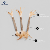 Bâtonnets de chat en plumes de vigne argentée, lot de 3, jouet naturel en bois avec alternative à la cataire et fruits de galle pour chats d'intérieur