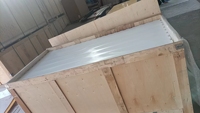 Patinoire de hockey sur glace synthétique OEM en UHMWPE, glisse extrême en polyéthylène, glace synthétique