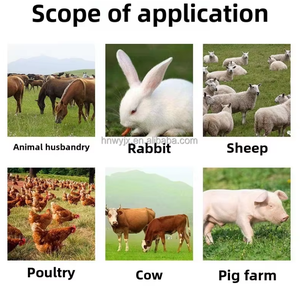 Broyeur efficace de broyeur de fruits légumes multifonctionnel de capacité élevée pour l'équipement agricole avec le moteur de noyau - Product Image 5