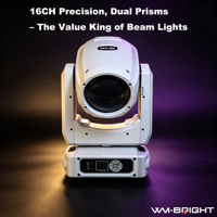 Projecteur Beam Moving Head 295W 16 canaux avec double prisme pour scène de mariage, DJ, club et événements de petite et moyenne envergure