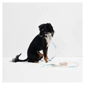 Correa de Tracción para Mascotas de Alta Calidad, Duradera, de Lujo, Ecológica y Colorida, con Revestimiento de Goma de Doble Capa, <span class=keywords><strong>Collar</strong></span> de PVC Impermeable para Perros - Product Image 3