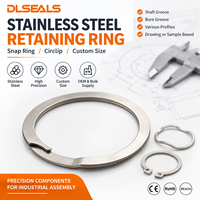 DLSEALS Stainless Steel Snap Ring Circlip Custom Non-Standard Precision for Shaft Bore Groove Industrial Assembly OEM Bulk