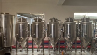 Tube conique de bière SUS, 304, fermenteur, 200l, 300l, réservoir pbt, à vendre, matériel de fabrication