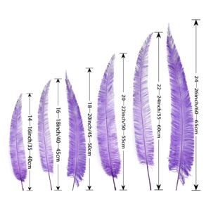 40 - 45 cm <span class=keywords><strong>16</strong></span> -18 pulgadas pluma de avestruz recortada Nandu plumas de avestruz largas para fiesta carnaval disfraces Decoración - Product Image 2