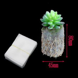 Bolsas <span class=keywords><strong>de</strong></span> Cultivo Biodegradables <span class=keywords><strong>de</strong></span> <span class=keywords><strong>Tela</strong></span> No Tejida <span class=keywords><strong>para</strong></span> Viveros, Bolsas <span class=keywords><strong>de</strong></span> Cultivo <span class=keywords><strong>para</strong></span> <span class=keywords><strong>Plantas</strong></span>, Macetas <span class=keywords><strong>de</strong></span> <span class=keywords><strong>Tela</strong></span> <span class=keywords><strong>para</strong></span> Plántulas, Bolsas <span class=keywords><strong>para</strong></span> <span class=keywords><strong>Plantas</strong></span> Suculentas - Product Image 2