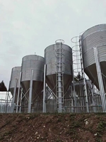 Silo verticale del grano di stoccaggio della risaia del riso 50 m3 da vendere