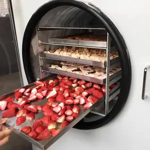 Alta qualidade global decicated coco liofilizador frutas e vegetais vácuo comercial congelar máquina do secador para alimentos