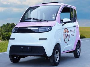 Voiture électrique à faible vitesse de conception nouvelle, voiture électrique pour passagers, moteur 60V 1000W, capacité de charge de 800 à 1500 kg, alliage d'aluminium pour usage domestique - Product Image 3