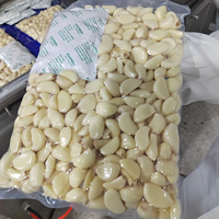 Ail frais pelé gousses d'ail blanches normales pelées dans un emballage sous vide gousses d'ail de haute qualité meilleur prix