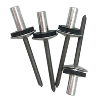 Rivets aveugles étanches personnalisés à extrémité fermée, tête plate avec rondelle EPM scellée en caoutchouc, aluminium, rivets scellés 3/16
