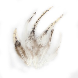 Plumas Rojas de Gallina para Manualidades, Joyería, Ropa - Accesorios para Varitas de Gato Hechas a Mano - Product Image 5
