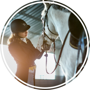 Pourquoi choisir la thérapie par ondes de choc pour la santé équine et animale - Product Image 5