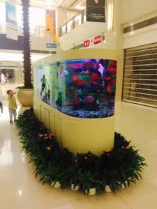 수족관 및 액세서리를위한 캐비닛 대형 사무실 및 거실 화면 하단 필터가있는 흰색 유리 어항 - Product Image 2