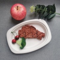 Boîte à bonbons jetables biodégradables, jetable, 8 pièces, 9 "* 6", assiette à dîner ovale, pour fête