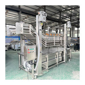 Industriële Druivenwasmachine Doorlopende Reiniging Bubbel Groentewastransportband - Product Image 1