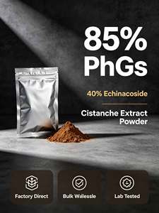 Extrait de Cistanche Tubulosa Haute Puissance 40% Échinacoside 16% Acteoside – Complément Herbal Naturel en Vrac pour la Santé des Reins et du Cerveau - Product Image 1