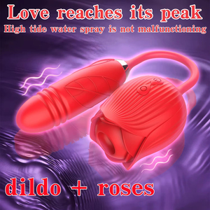 Meilleures ventes 2026 : Vibrateur rose 2 en 1 pour femmes, stimulateur <span class=keywords><strong>clitoridien</strong></span> à poussée et double stimulation, avec fonction de succion, jouet pour adultes - Product Image 2