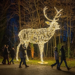 Décoration de Noël extérieure lumineuse en forme de renne LED de 1,80 m à 2,70 m, motif cerf, pour parcs, hôtels et centres commerciaux - Product Image 6