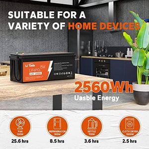 Твердотельный литий-ионный Аккумулятор LiFePO4 200A BMS IP65, 4000 + циклы - Product Image 4