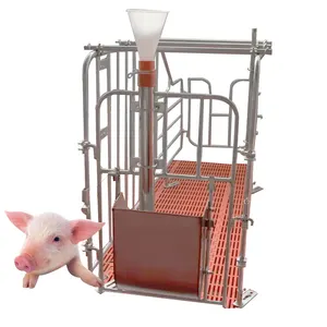 2023 juxin équipement d'élevage de porcs galvanisé porc truies enceintes gestation stalles caisses à vendre