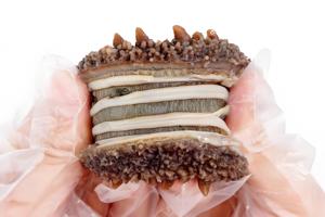 خيار البحر الأسود المجمد عالي الجودة من الصين، متوفر بالجملة، خالٍ من الدهون المتحولة، معبأ بالتفريغ الهوائي، يعزز المناعة - Product Image 2